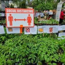 When it comes to landscaping, you need a company you can trust. Top 10 Best Hydroponics In Fort Erie On Last Updated July 2021 Yelp