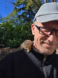 Squirrels return after hawk presence