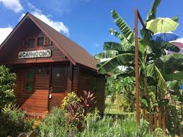 The accommodation was fine with cottages named after coffees, but the food was terrible. Yit Foh Coffee Factory Tenom 2021 All You Need To Know Before You Go With Photos Tripadvisor