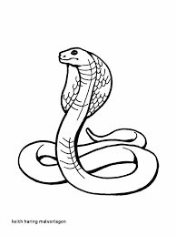 Keith Haring Malvorlagen Keith Haring Ausmalbilder King Cobra Coloring Page 1107892 Hd Wallpaper Backgrounds Download