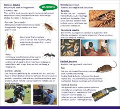 Do you need termite control or termite prevention ? Tricity Pest Solution Ambala City Pest Control Services In Ambala Justdial