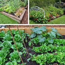 This is my first real go at a vegetable garden. 25 Vegetable Garden Ideas For Any Size Space
