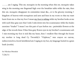 Friederike mayröcker's poems are often dedicated to specific people and thus constitute a very present act of communication. Selections From Etudes On The Seawall