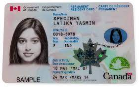 Maybe you would like to learn more about one of these? 0501 Permanent Resident Card Pei Association For Newcomers To Canada