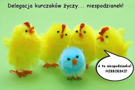 Słodkich mazurków czekoladowych zajączków mnóstwo jajek z niespodzianką i dużo wody w lany poniedziałek wesołego alleluja! Urocze Zyczenia Wielkanocne Idealne Na Facebooka I Whatsappa Pamietaj O Zyczeniach Wielkanocnych W Tym Trudnym Pandemicznym Czasie Dziennikzachodni Pl
