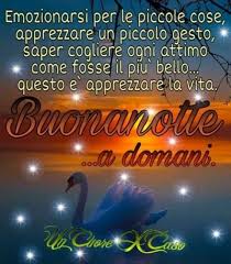 Buonanotte E Sogni D Oro A Tutti 1 Buongiornoate It I gattini oscillano sulla luna. buonanotte e sogni d oro a tutti 1