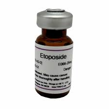 Image result for Etoposide