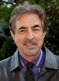 We won't share this comment without your permission. Joe Mantegna Wikipedia