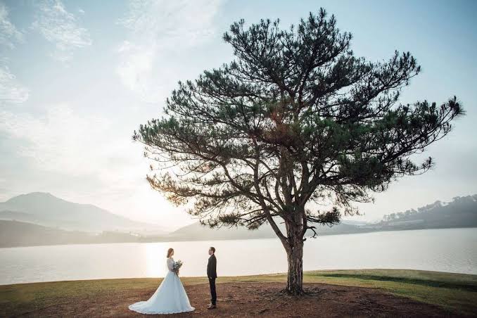 Cây thông cô đơn Đà Lạt - Điểm sống ảo triệu view của giới trẻ