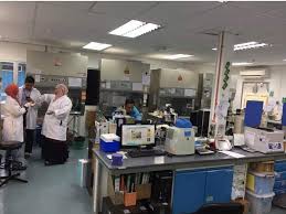 Sistem ini sentiasa dipantau oleh kkm melalui pejabat kesihatan daerah (pkd), jabatan kesihatan negeri (jkn) dan makmal kesihatan awam kebangsaan (mkak) bagi memastikan tindakan susulan. Kkmalaysia ×'×˜×•×•×™×˜×¨ Ini Menjadikan 18 Makmal Di Negara Ini Untuk Ujian Pengesanan 2019ncov Termasuk Dua Yang Sedia Ada Iaitu Imr Dan Makmal Kesihatan Awam Kebangsaan Mkak Sg Buloh Kapasiti Akan Diperluas Lagi