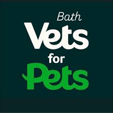 Vets4Pets - Bath