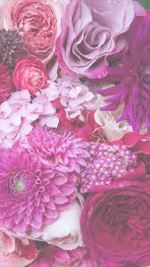 Download and use 50,000+ android wallpaper stock photos for free. Flowers Phone Wallpapers Top Free Flowers Phone Backgrounds Wallpaperaccess