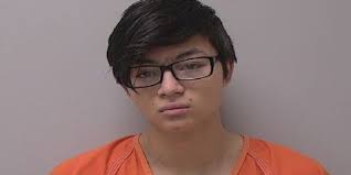 Wausau man charged with having sexual contact with dog