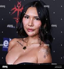 Theresa Luu's Instagram, Twitter & Facebook