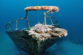 In wirklichkeit war eines der rettungsboote auf dem rückweg, um im wasser nach überlebenden zu suchen. Titanic Foto Bild Unterwasser Uw Salzwasser Natur Kreativ Bilder Auf Fotocommunity