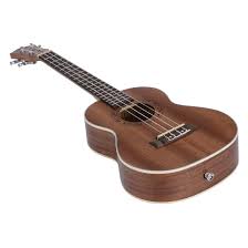 Pin On Acoustic Guitars