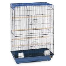 Bird Cage Seed Guard Petsmart Prevue Pet Products Flight Bird Cage In 2020 Flight Cage Bird Cage Cage