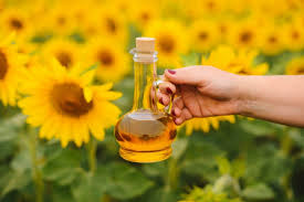 Sunflower oil helps remove excess oil and dirt from hair strands. Benefits Of Sunflower Oil For Hair Growth