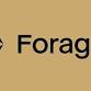 Forager Investing Event event image