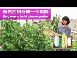 手把手教你在家建一个一米菜园 成本低 做法简单 easy way to build a home garden youtube home and garden garden the creator