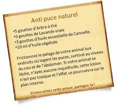 Epingle Sur Bio