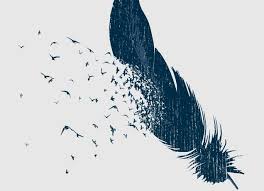 Birds Of A Feather 2020 Series Birds Of A Feather In 2020 Feather Art Bird Feathers Peacock Feather Art