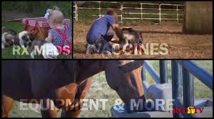 All of coupon codes are verified below are 49 working coupons for valley pet supply coupon from reliable websites that we have. Valley Vet Supply Tv Commercial Your One Stop Shop For Animals Large And Small Ispot Tv