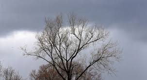 Les fiches vous aident à retrouver les grands points dont vous voulez parler. Des Nuages Et De La Pluie Ce Matin Avant Des Eclaircies Cet Apres Midi Bx1