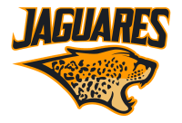 The irish rugby football union (irfu) (irish: Jaguares Super Rugby Wikipedia