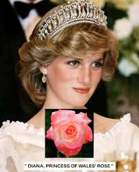 Princess Diane will always remain in my Heart alwaysxx