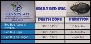 bed bugs heat treatment services get rid of them today