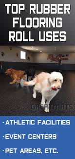 Top 7 Uses For Rubber Flooring Rolls Dog Training Rubber Flooring Dog Daycare