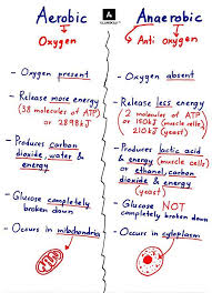 Aerobic Vs Anaerobic In 2020 Biochemistry Notes Biology Notes Cell Respiration