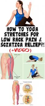 Pin On Lower Back Pain