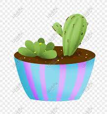 Imágenes de las suculentas más pequeñas del mundo. Ilustracion De Dibujos Animados Mano Dibujado Cactus Suculentas Imagenes De Graficos Png Gratis Lovepik