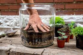 If you scroll through the videos and. How To Make A Basic Terrarium