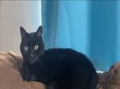 Profile Picture of Jessie Newt - Address & Phone Number | Whitepages People Search (@google.com) on Google
