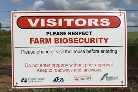 American bollworm, aphids, brown rice plant hopper. Declared Plant Control Handbook Agriculture And Food