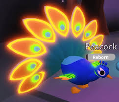 Reborn newborn twinkle junior sparkle pre teen flare teen sunshine post teen luminous full grown the higer a pet adopt me pet ages levels list neon levels. How To Get A Neon Peacock In Roblox Adopt Me Pro Game Guides