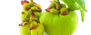 Ci Sono Molti Modi Di Perdere Peso Ma Certamente La Garcinia Cambogia E Della Piu Efficace Prima Di Tutto Garcinia Cambogia Fruit Garcinia Cambogia Garcinia