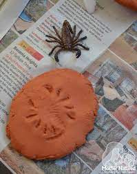 Split one model magic with your partner. Clay Fun How To Make Clay Fossils Mother Natured