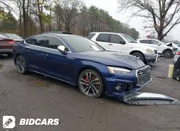 Image result for Navarra Blue 2023 S5