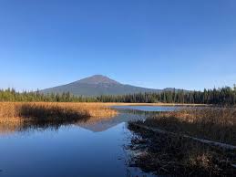 It is located on the southwest shore of paulina lake and offers opportunities for bird watching, bicycling, sightseeing, and access to the paulina lakeshore trail #3955 and a short walk to paulina. South Campground Hosmer Lake Or Deschutes National Forest Recreation Gov