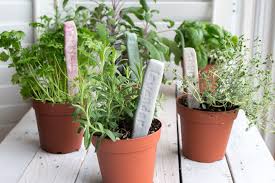 Not planting anything this year? Plant Labels Diy Stamped Clay Herb Garden Markers Resin Crafts