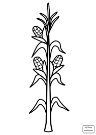 When it gets too hot to play outside, these summer printables of beaches, fish, flowers, and more will keep kids entertained. Stalk Coloring Pages Learny Kids