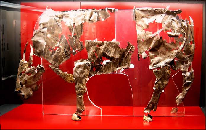 The silver bull of Delphi is the first large-scale statue made all from  forged metal – a bull made of sheets of silver. The sixty silver leaves  that were found crumbled and