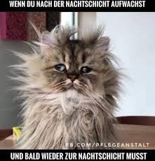 Immer So Altenpflege Krankenpflege Krankenschwester Krankenpfleger Heilerziehungspflege Pflege Pfle Krankenschwester Witze Altenpflege Krankenpflege