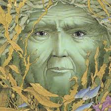 David Wiesner (born in XX)