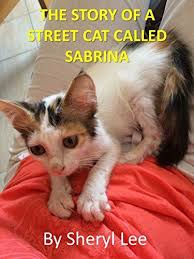 The Story Of A Street Cat Called Sabrina By Lee Sheryl Cat Call Cats Dog Stories