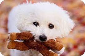 Please contact us if you. Pin On Cute Animals